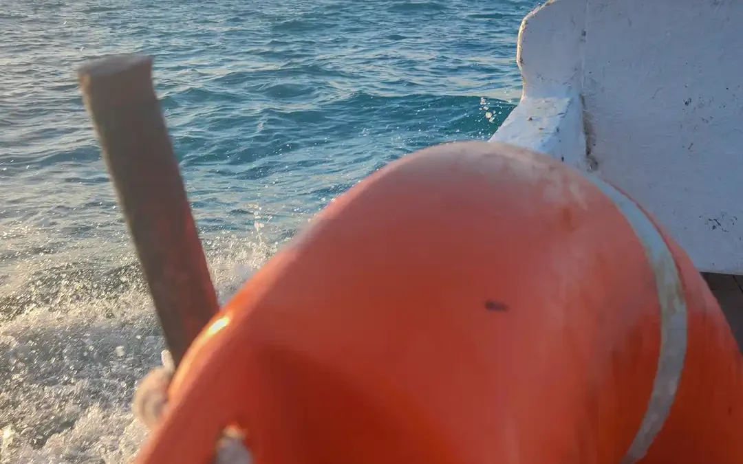 Auf einem Boot. Man sieht das weite, blaue Meer und einen Teil des Rettungsreifens. Loslassen und genießen.