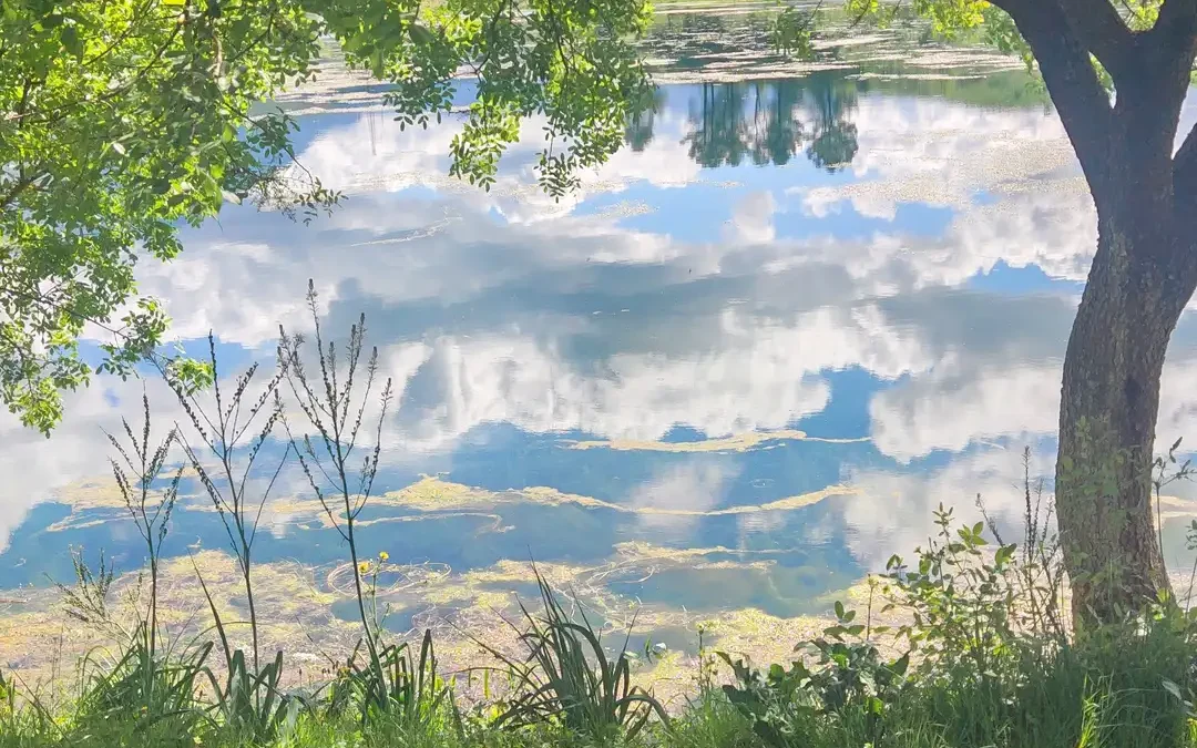 In Albanien finden sich noch viele unberührte Plätze. Ideal für eine Naturtherapie. Stress ade :) Manchmal genügt ein Perspektivwechsel.