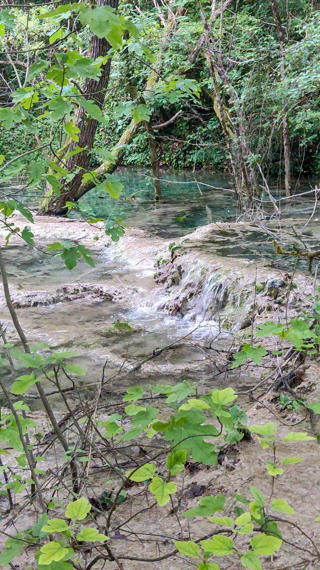 Die Stille im Wald. Man hört nur das gezwitscher der Vögel und das leise rauschen des Wassers.