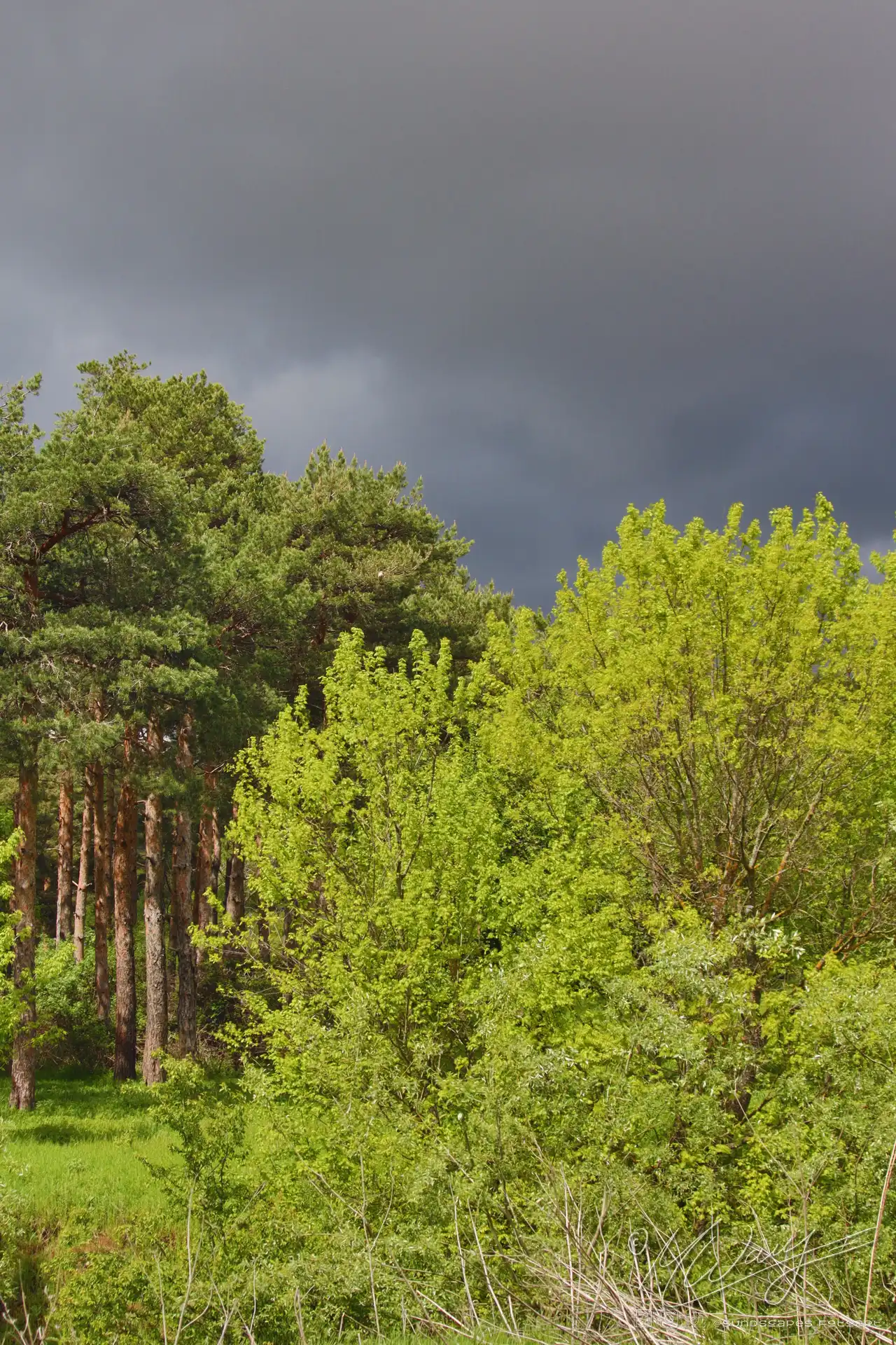 In Albanien finden sich noch viele unberührte Plätze. Ideal für eine Naturtherapie. Stress ade :)