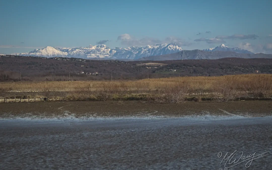 Ein Blick über die Salinen. Wasser, Steppe und Berge im Hintergrund. Der perfekte Ort um Geduld und Achtsamkeit zu lernen.