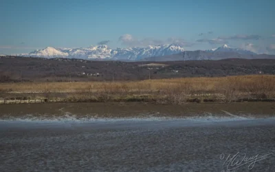 Geduld und Achtsamkeit sind hier gefragt – Nationalpark Salinen von Ulcinj