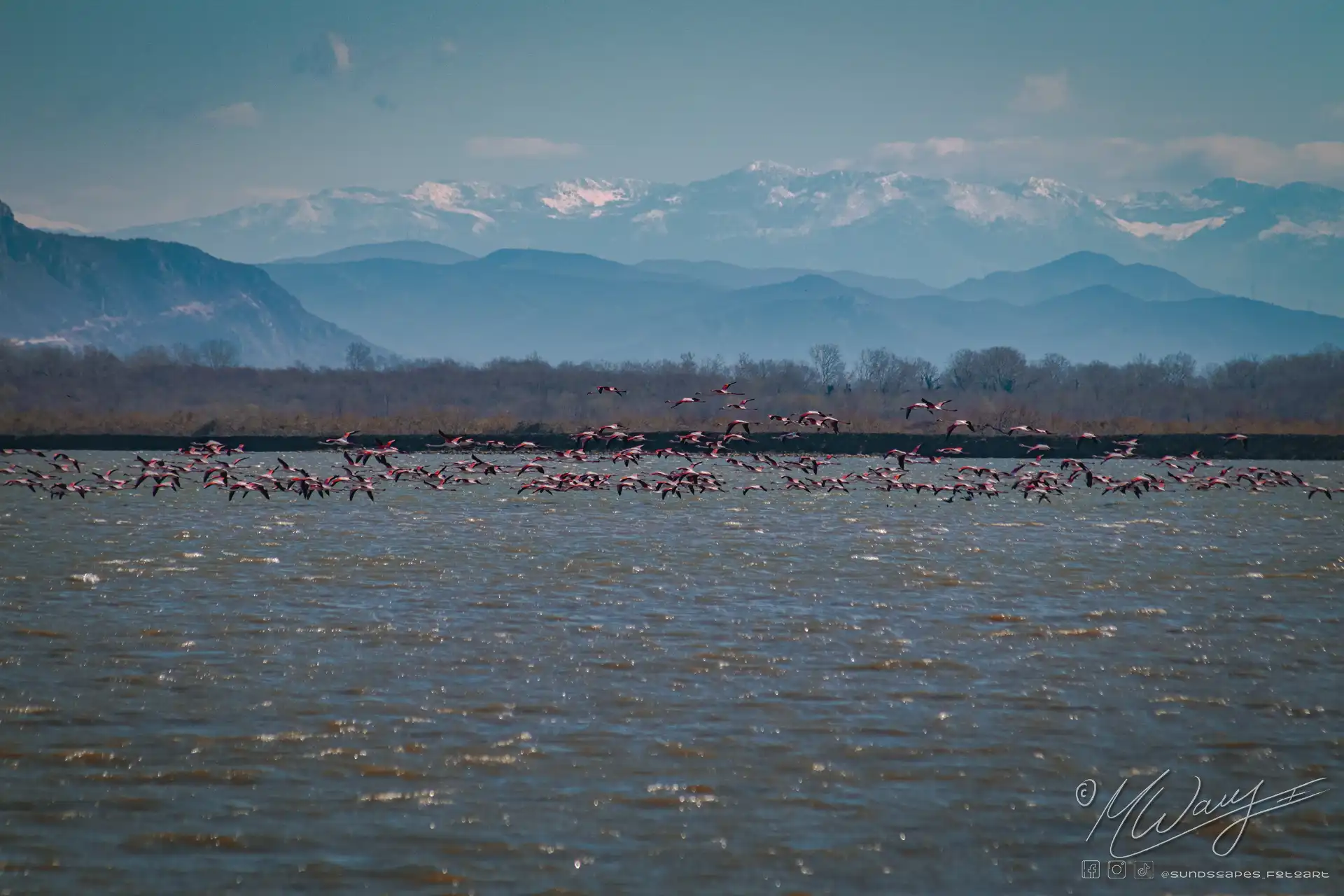 Ein Blick über die Saline von Ulcincj in Albanien. Wasser, Pellikane und mächtige Berge im Hintergrund - ein Moment der Stille