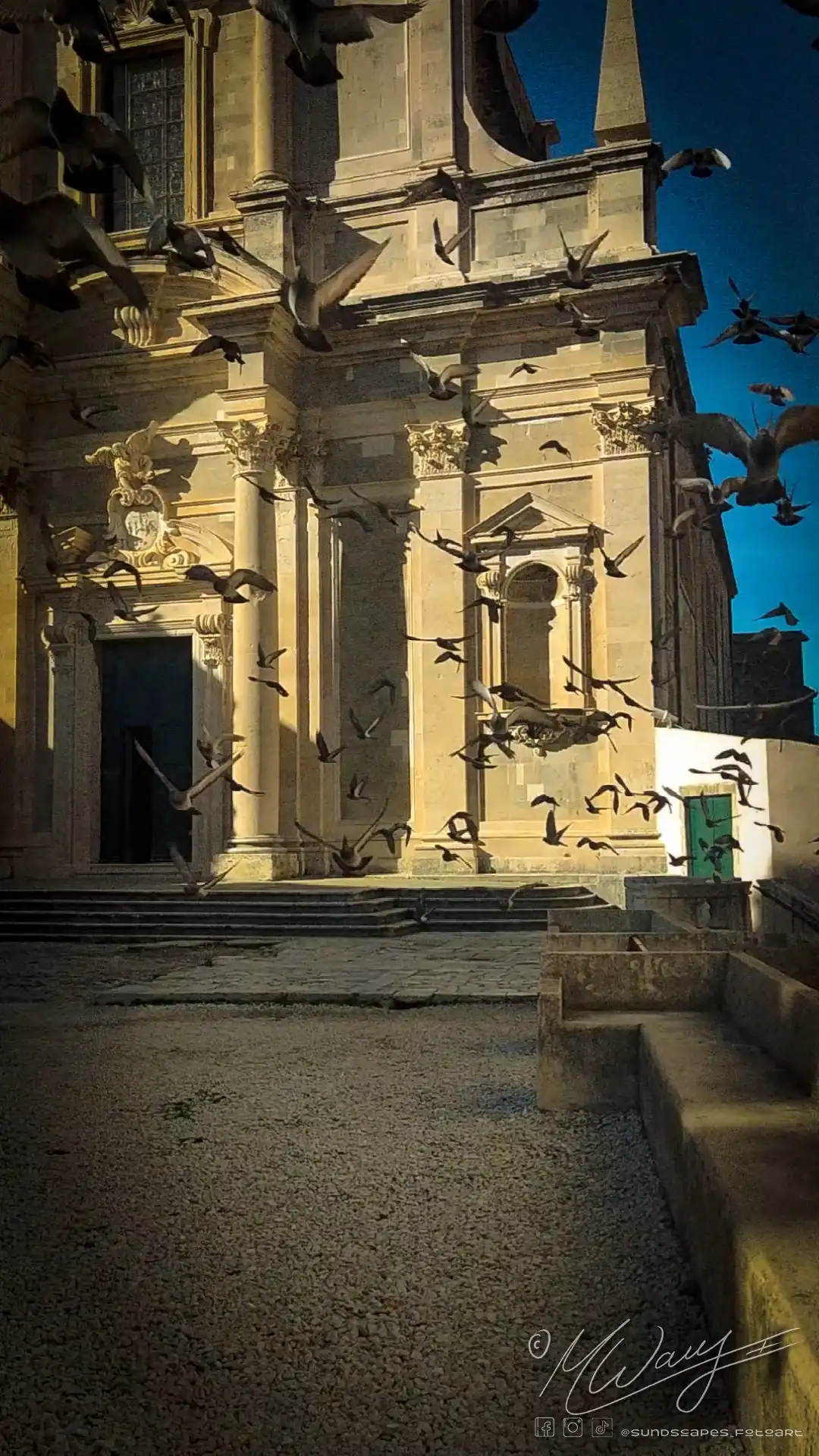 a group of birds flying in the air