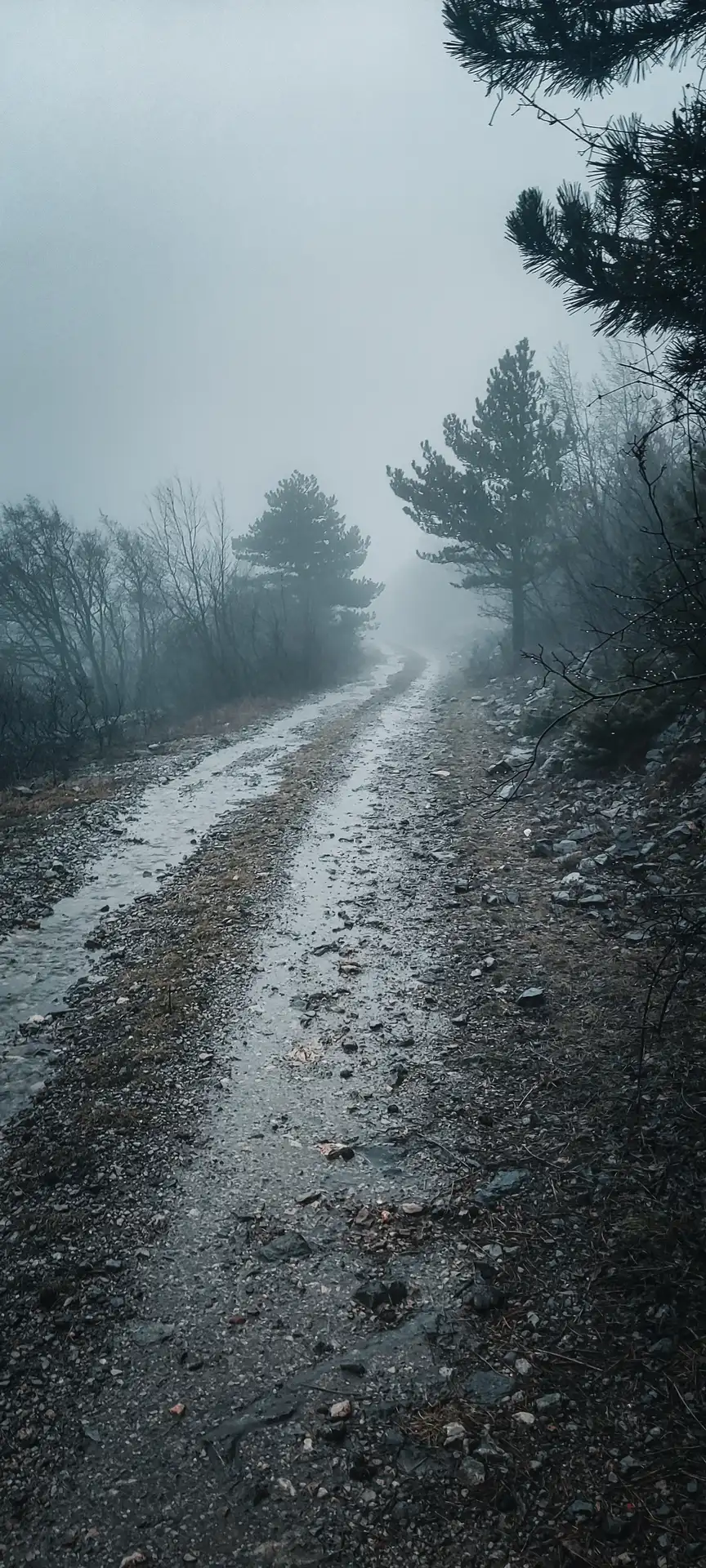 Nebel und Schotterpiste in Kroatien bei einem Offroad Abenteuer