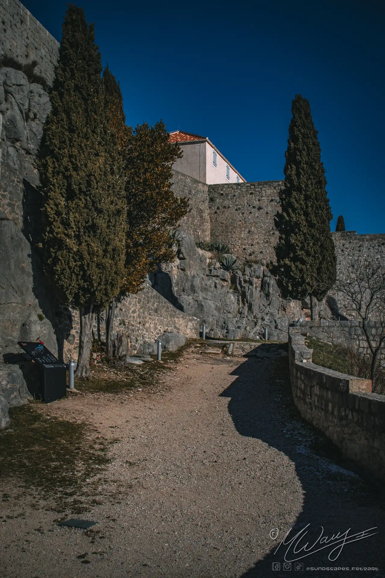 a dirt path with trees on the side of a hill