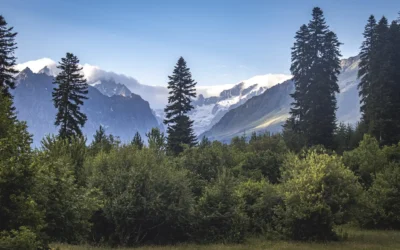 Die Kraft der Stille: Wie uns ruhige Momente im Alltag stärken