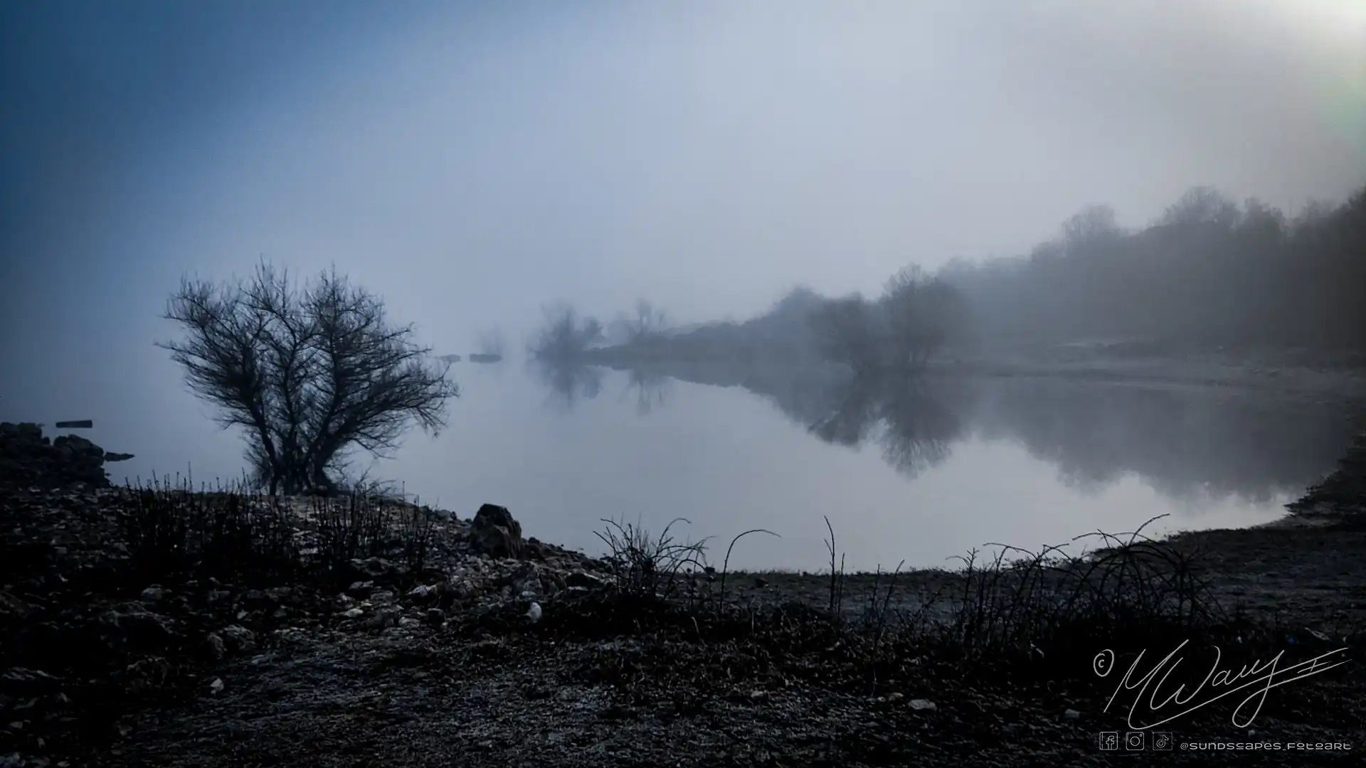 a body of water with trees and fog