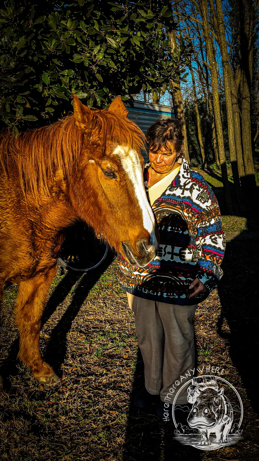 Tanja mit einem braunen Pferd auf unserem Stellplatz in Chioggia