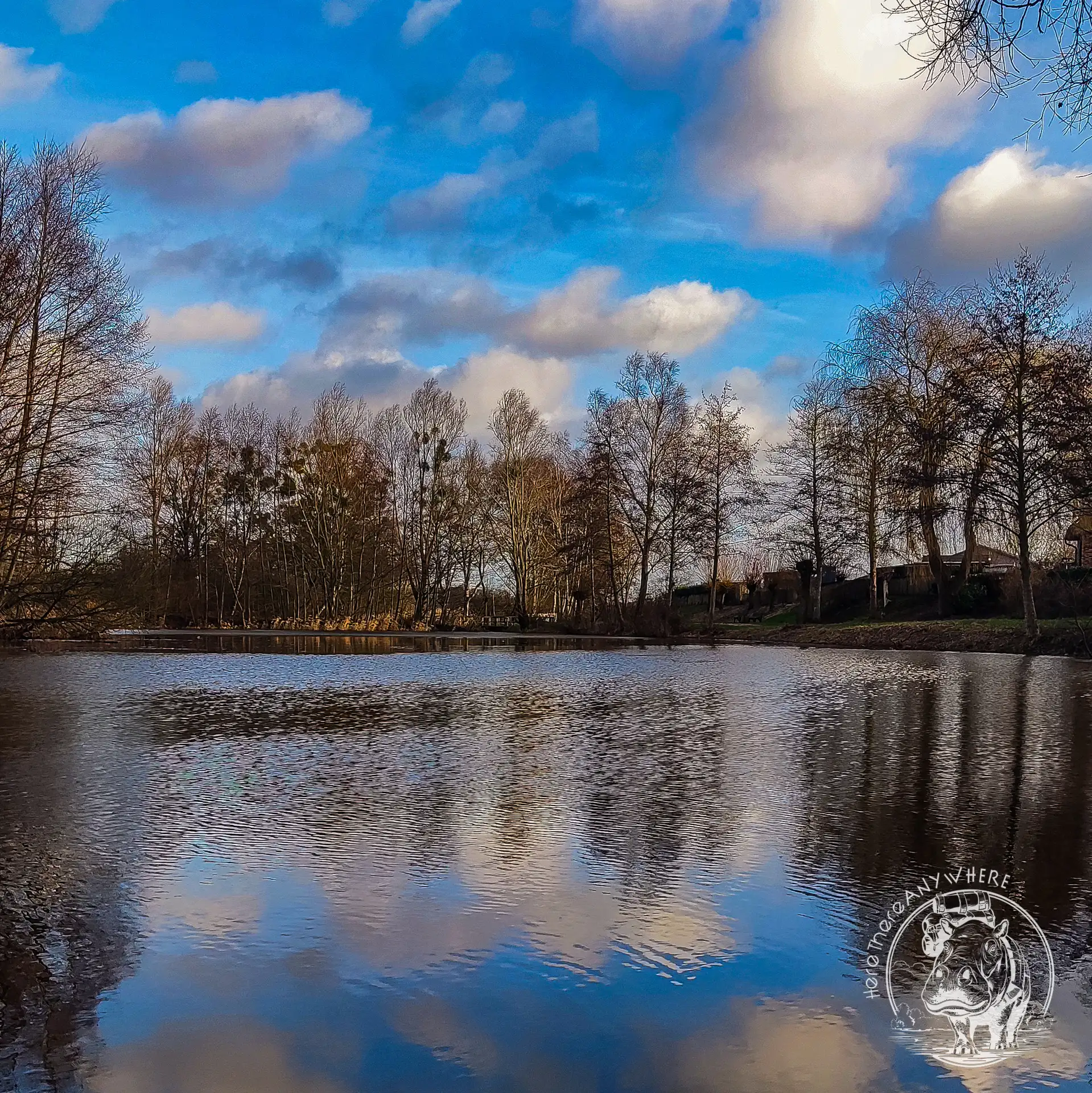 See in Deutschland. Ufer spiegelt sich im Wasser. Winterliche Bäume und ein blauer Himmel mit Wolken.