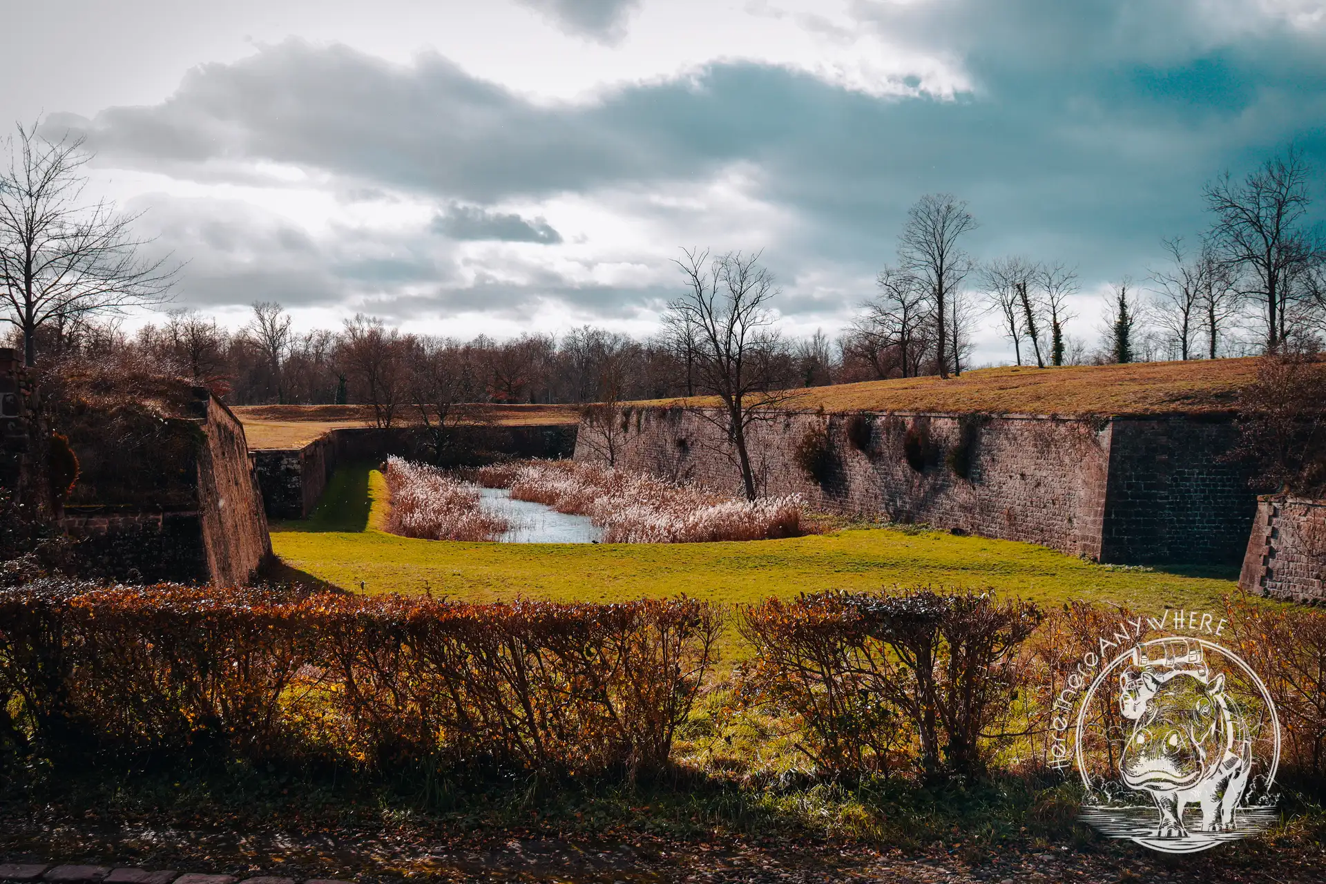 Die Natur im Elsass in Frankreich. 