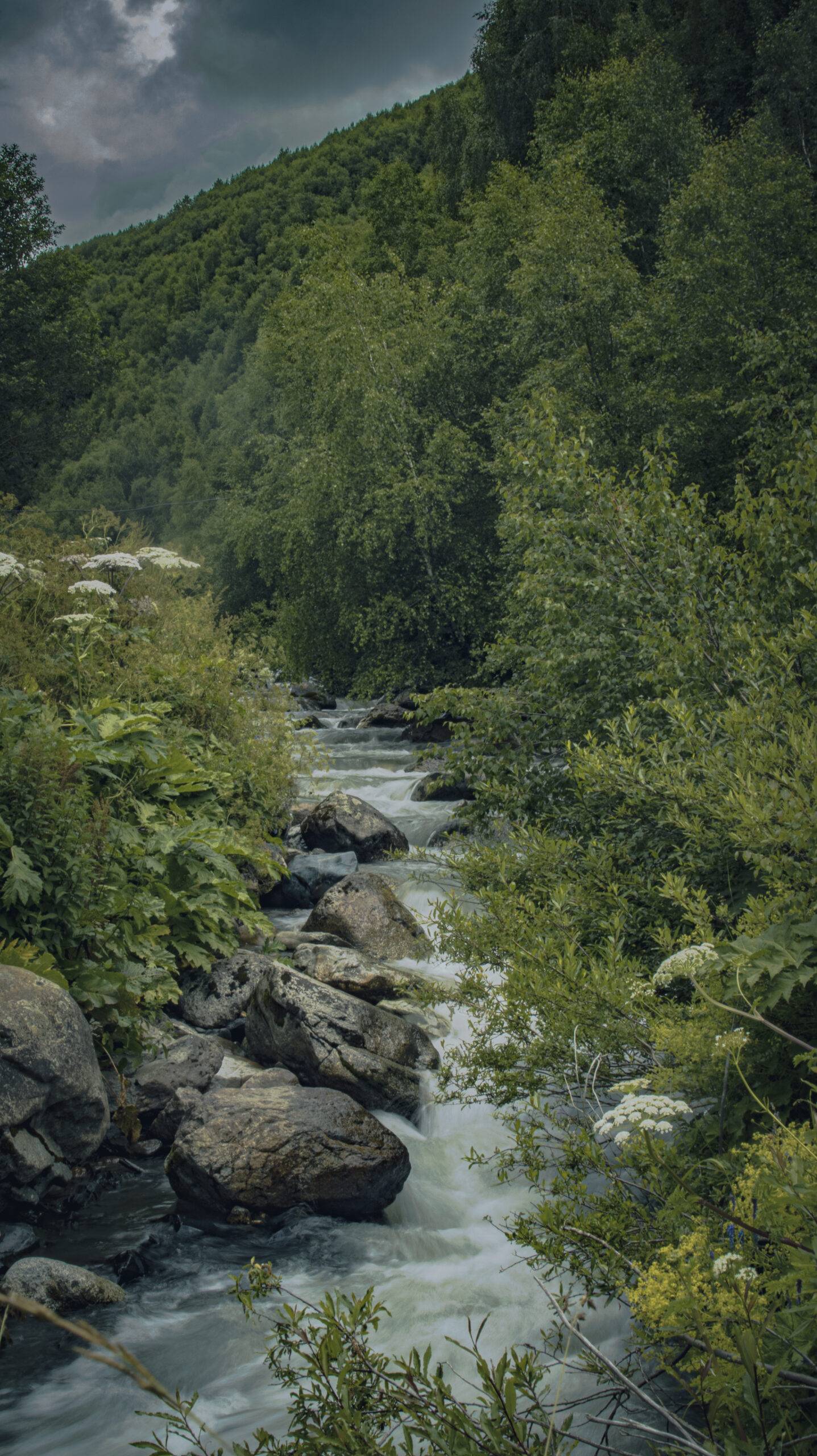 Uschguli: Ein Wasserlauf in grüner Natur